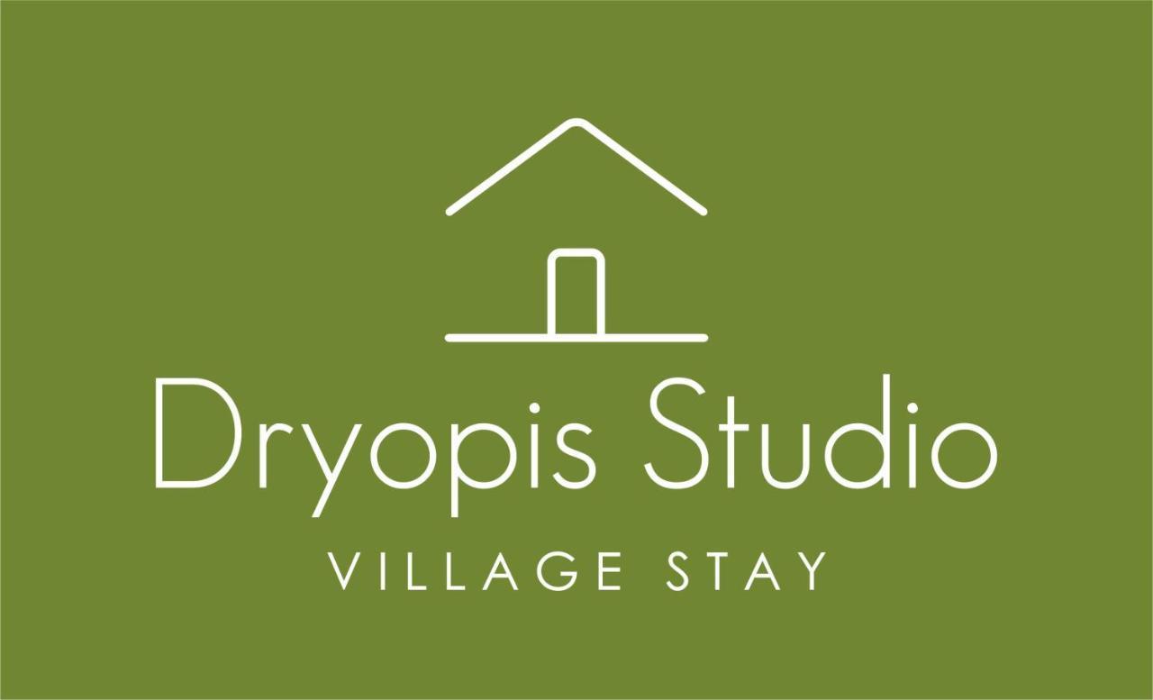 Dryopis Studio Dhriopis Экстерьер фото